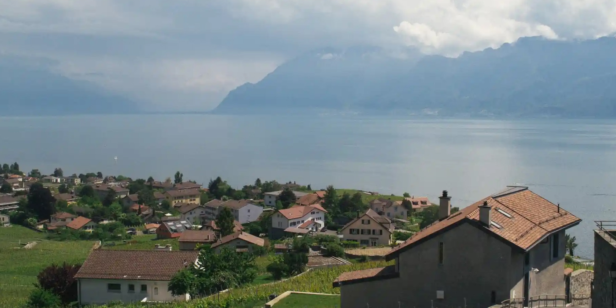 chiche-communication_Vignoble-Cousin