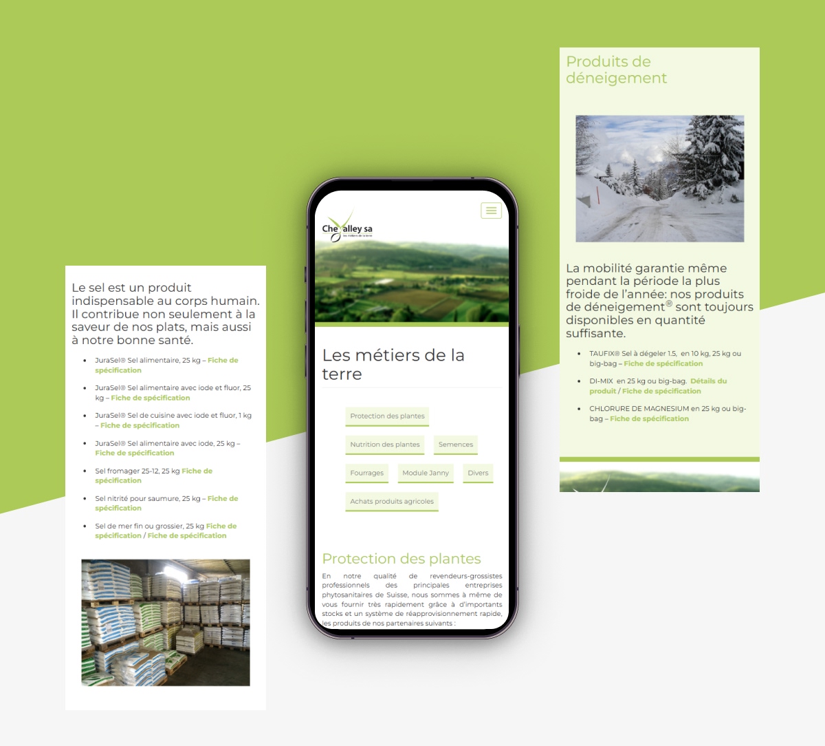 Smartphone entouré de colonnes de texte sur le sel et les produits de déneigement - Chiche communication